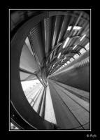 080104 - Canon 400D + Peleng 8mm f/3.5 Fisheye - b080104 - 7028